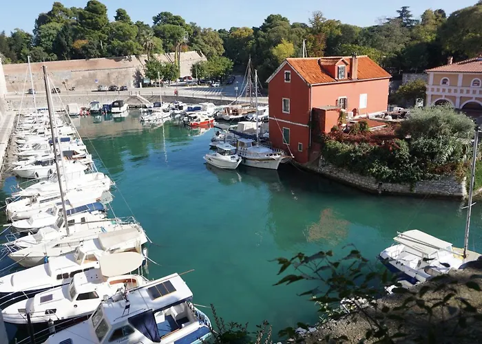 Clover Zadar